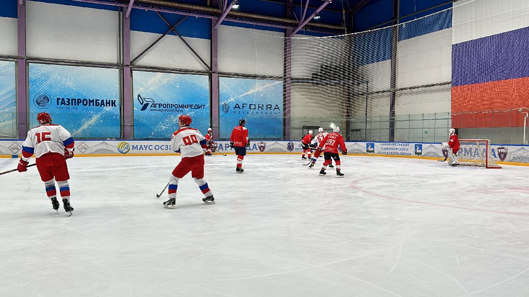 Одинцово, Хоккей, Кубок Гагарина, Ночная Хоккейная Лига, Александр Самокутяев, Красные звёзды