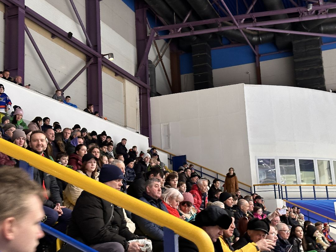 Одинцово, Хоккей, Кубок Гагарина, Ночная Хоккейная Лига, Александр Самокутяев, Красные звёзды