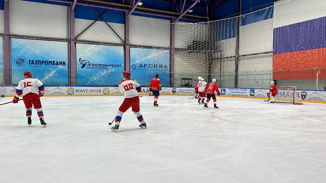 Одинцово, Хоккей, Кубок Гагарина, Ночная Хоккейная Лига, Александр Самокутяев, Красные звёзды