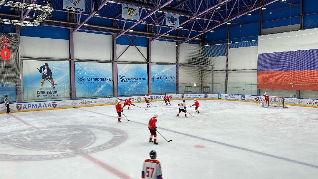 Одинцово, Хоккей, Кубок Гагарина, Ночная Хоккейная Лига, Александр Самокутяев, Красные звёзды