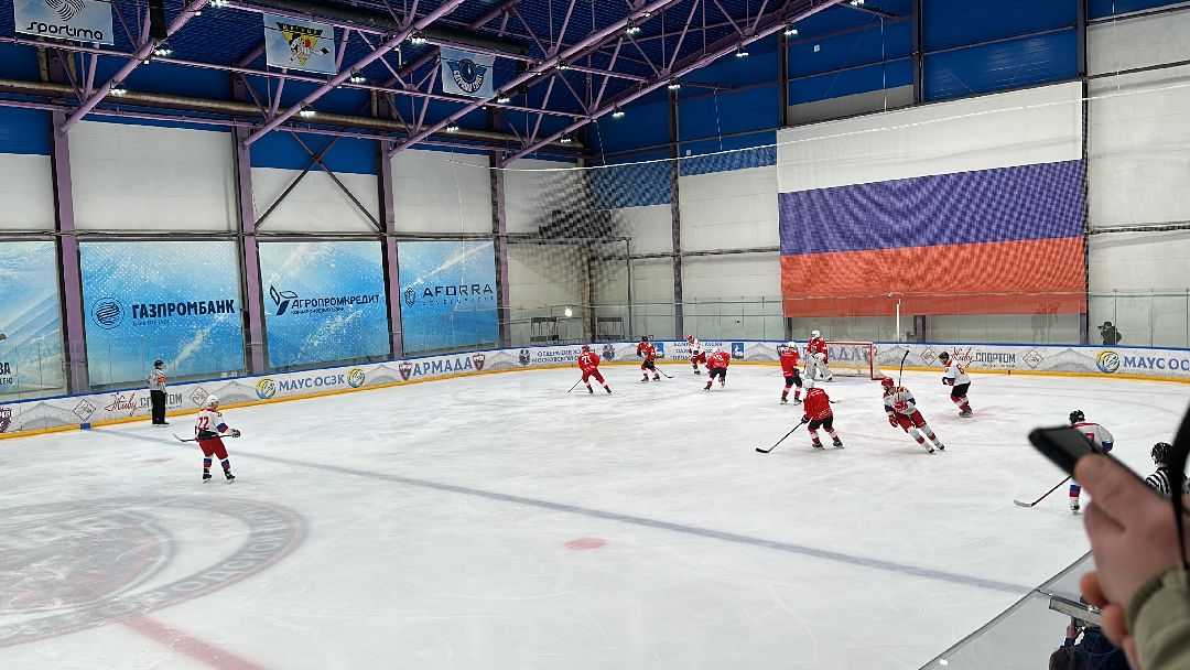 Одинцово, Хоккей, Кубок Гагарина, Ночная Хоккейная Лига, Александр Самокутяев, Красные звёзды