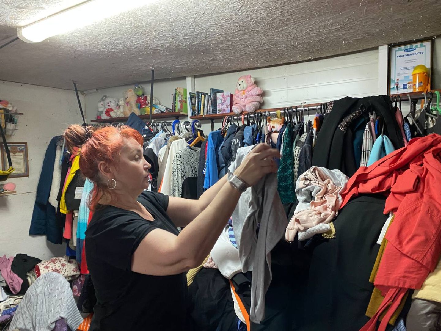 Чехов, экология, Мегабак, проект, губернатор, вещи, переработка, вторсырье