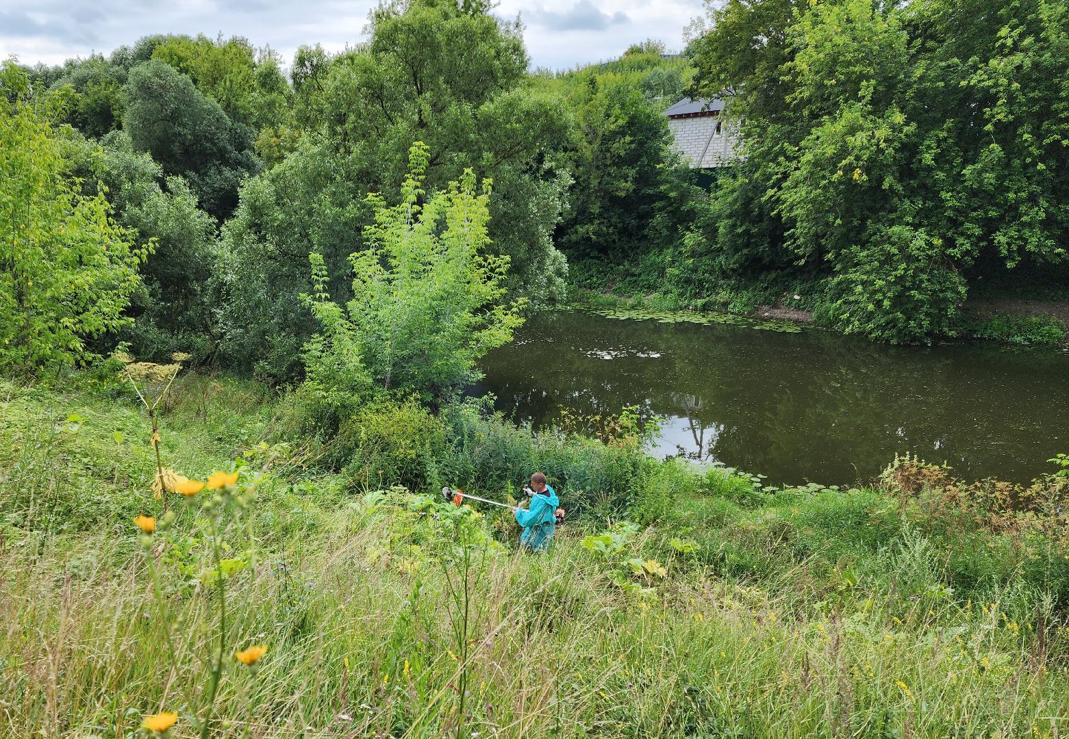 Подольск, борщевик, борьба с сорняком, отработка обращений