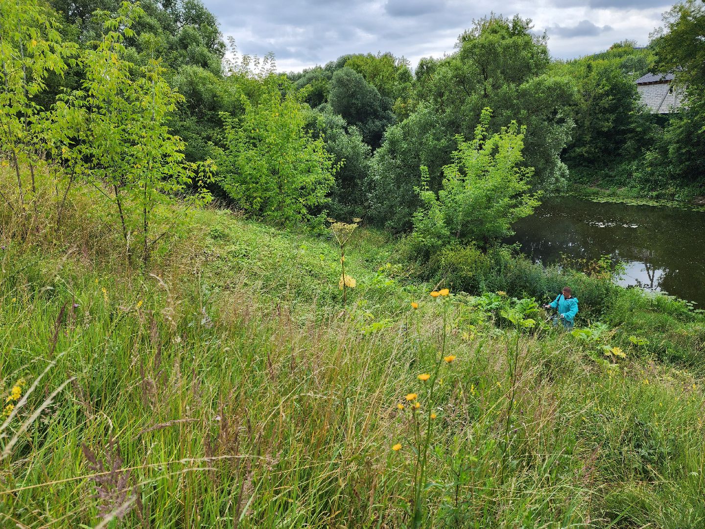 Подольск, борщевик, борьба с сорняком, отработка обращений