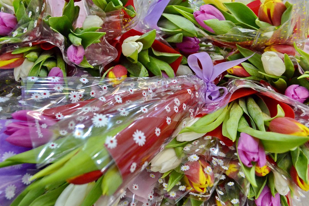 Балашиха, 8 марта, волонтёры, праздники, спорт, Ирина Скворцова