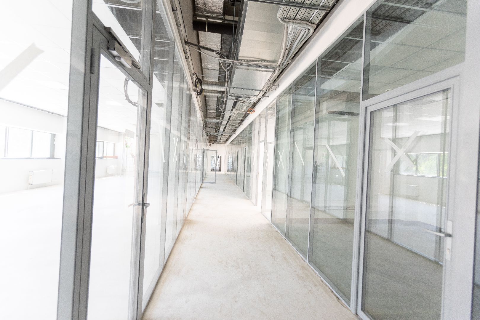 лыткарино, экономика, европродукт, тамаки,