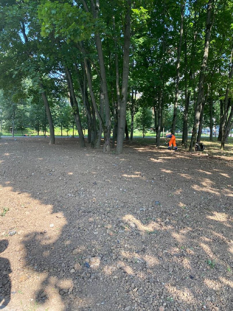 Подольск, благоустройство, газон, обращения жителей