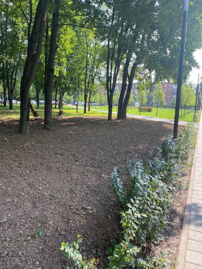 Подольск, благоустройство, газон, обращения жителей