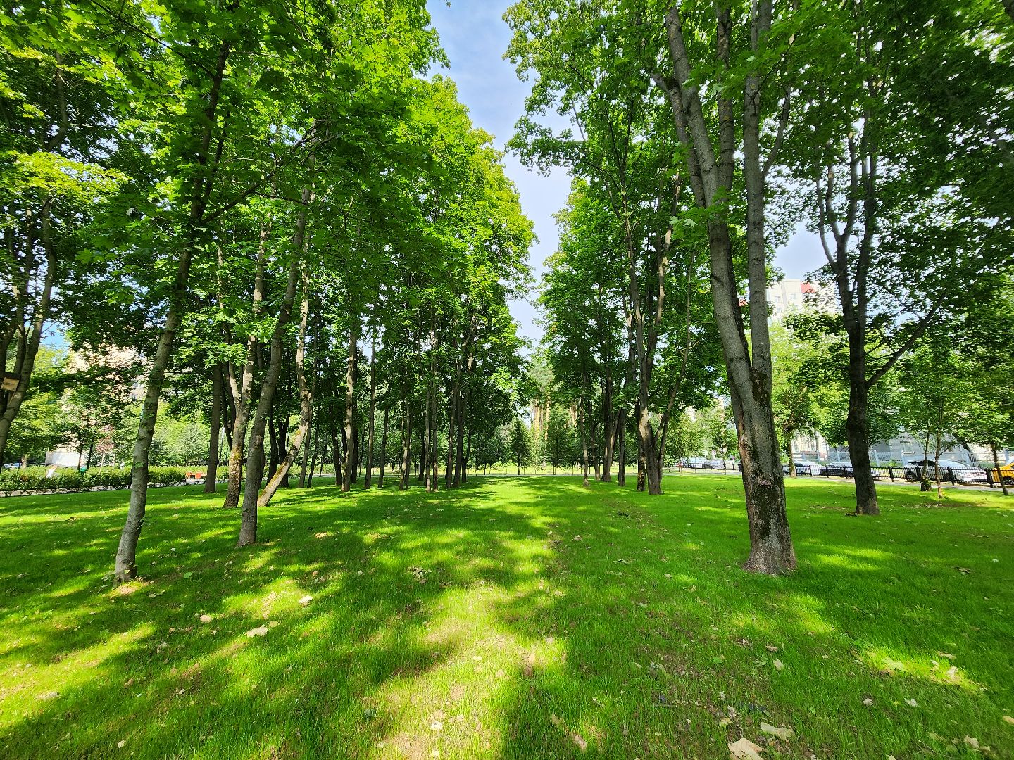 Подольск, благоустройство, газон, обращения жителей