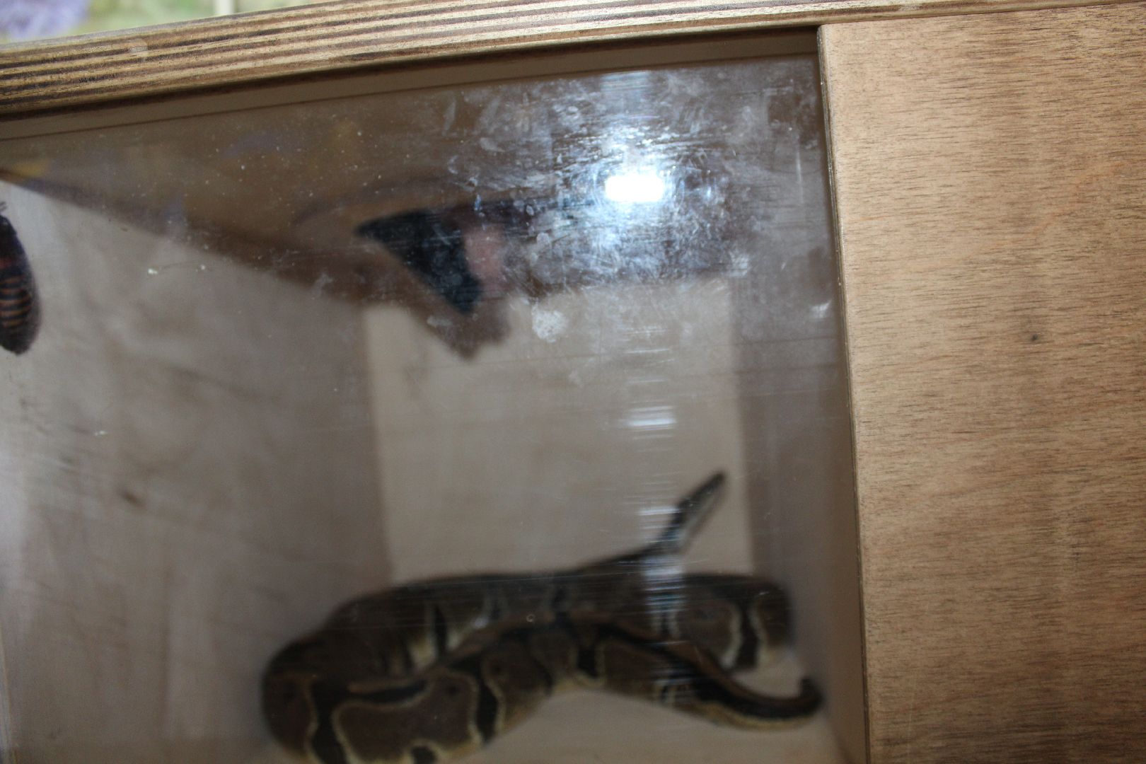 #активноедолголетие, #фортбоярд, #талдом, #испытания, #команда, #золото