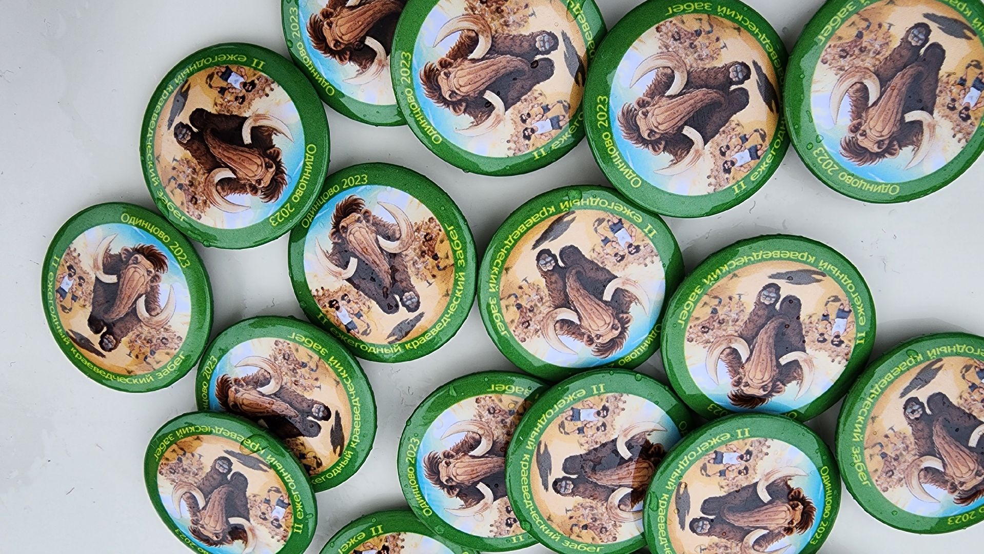 Одинцово, Краеведческое общество, День рождения Одинцова, Забег