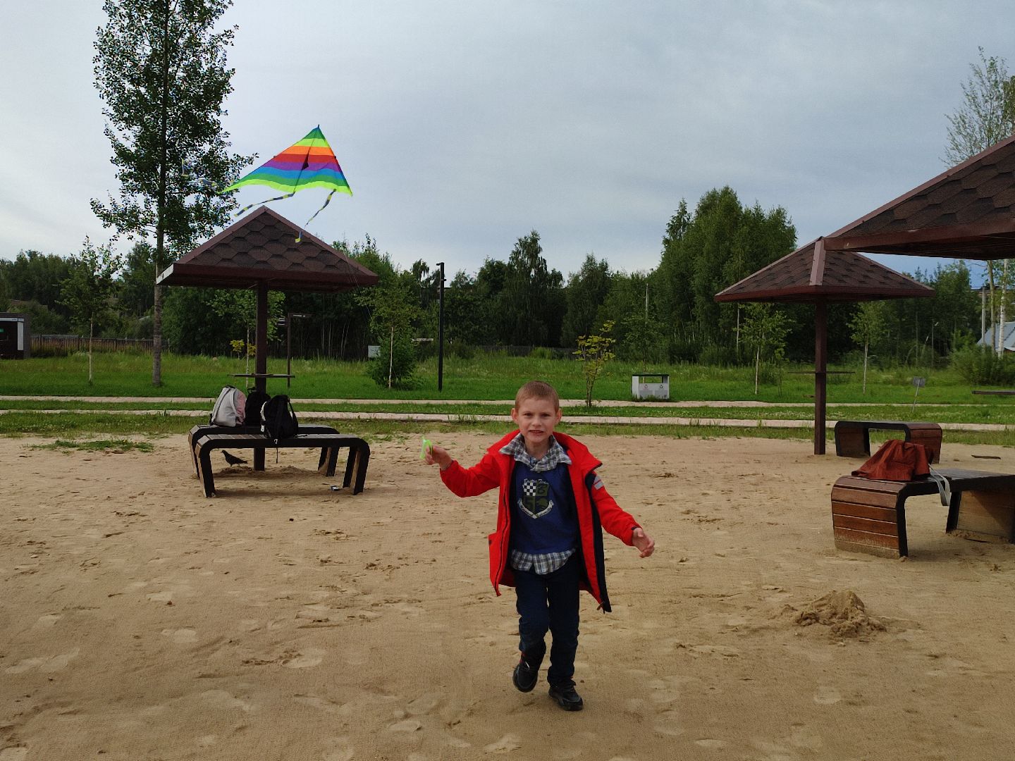 #воздушныезмеи, #фестиваль, #небо, #талдомскийокруг, #попутныйветер