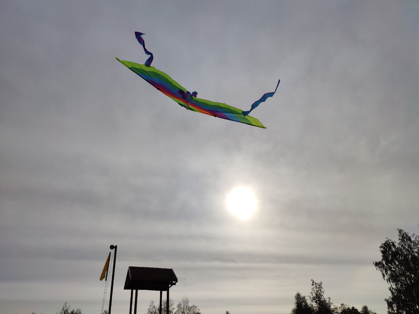 #воздушныезмеи, #фестиваль, #небо, #талдомскийокруг, #попутныйветер