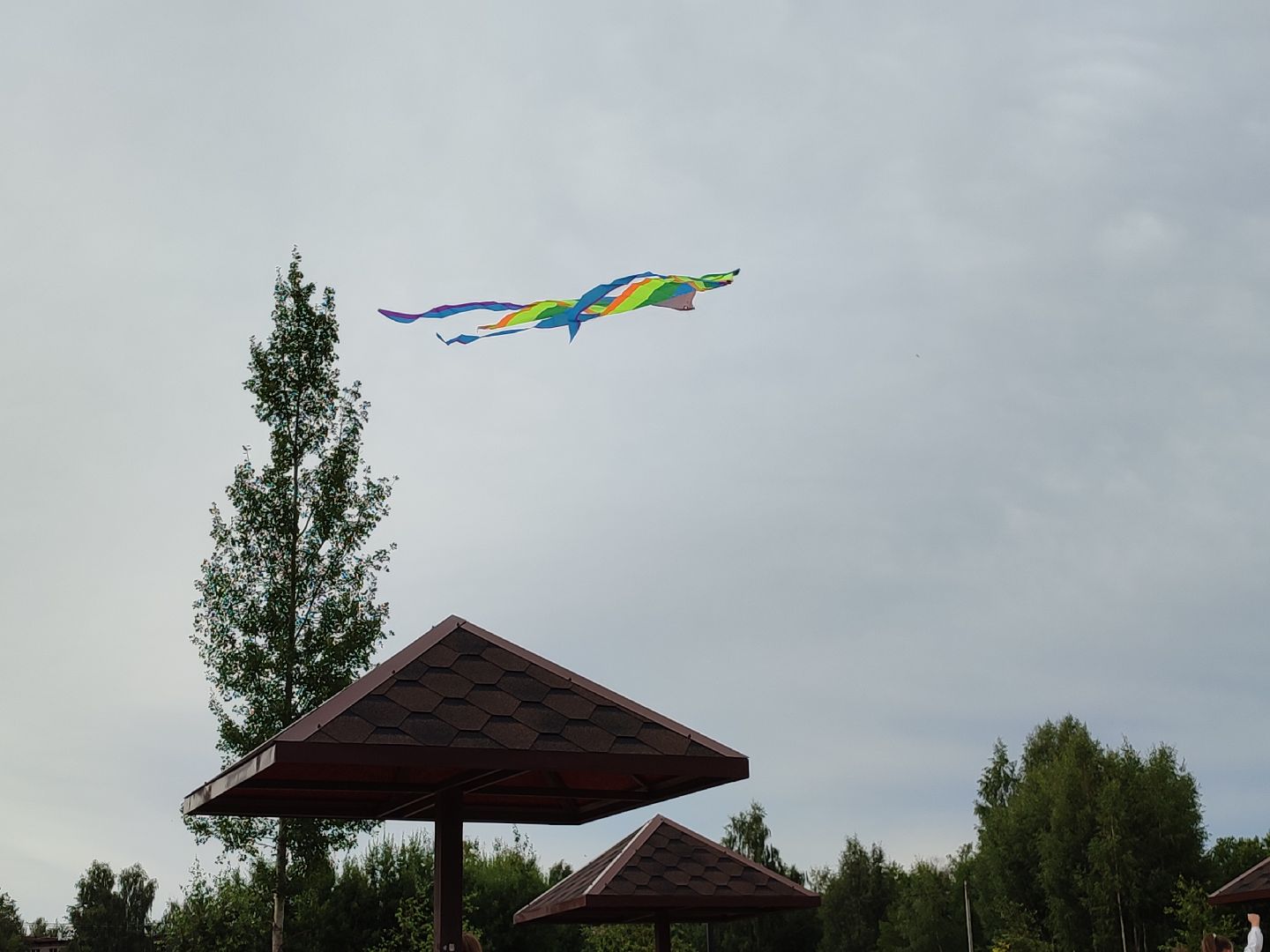 #воздушныезмеи, #фестиваль, #небо, #талдомскийокруг, #попутныйветер