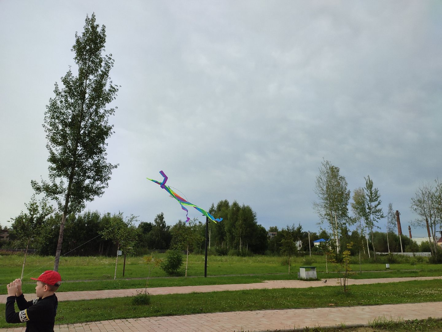 #воздушныезмеи, #фестиваль, #небо, #талдомскийокруг, #попутныйветер