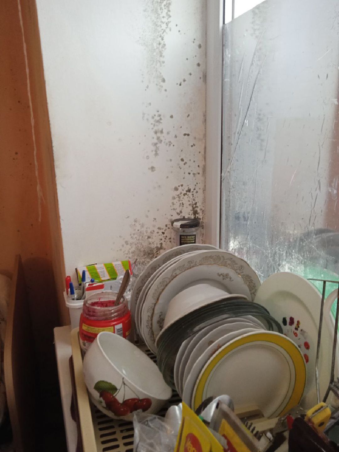 Истра, врачи, волонтеры, СВО, благотворительность