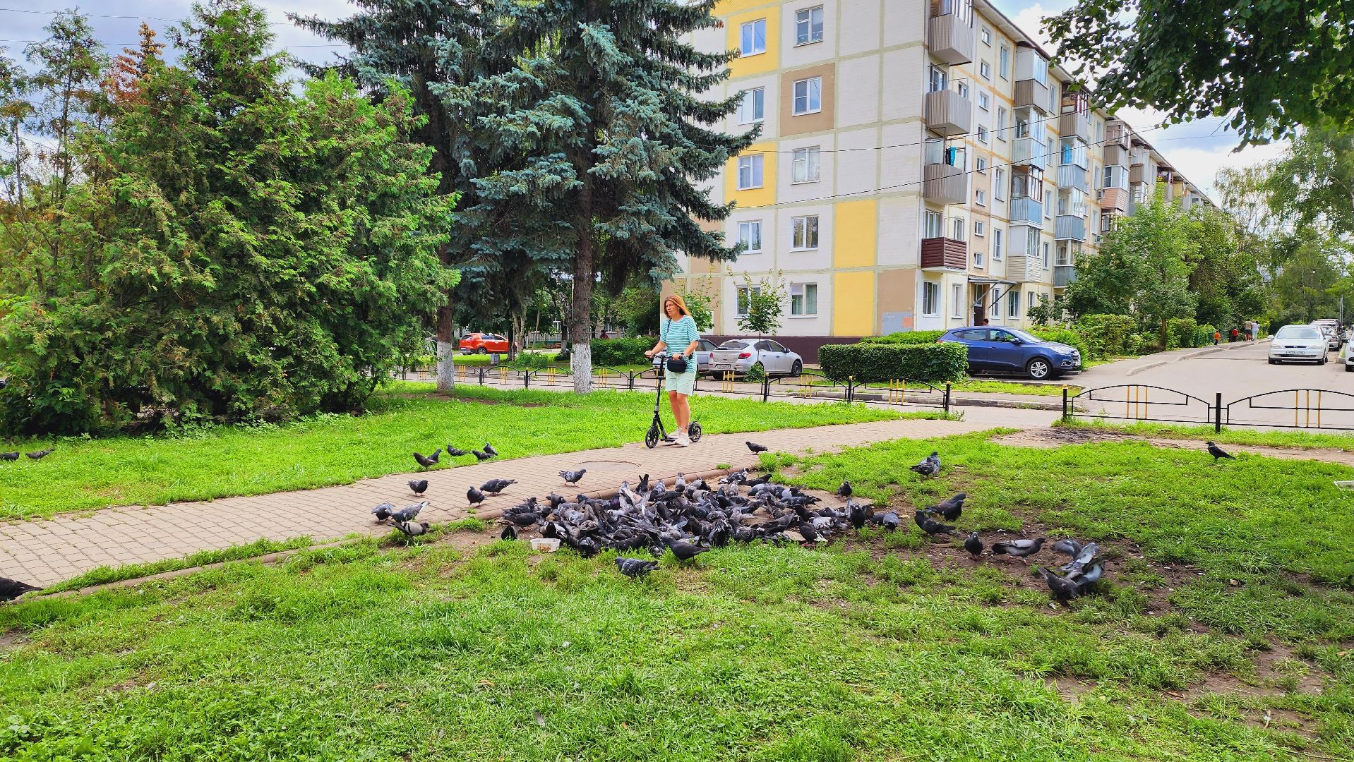 Подмосковье, Ивантеевка, благоустройство