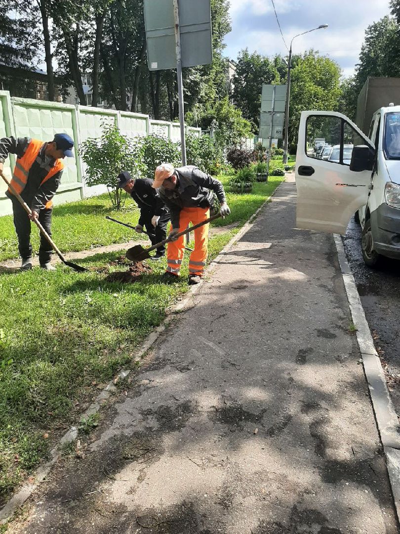 Подмосковье, Ивантеевка, благоустройство