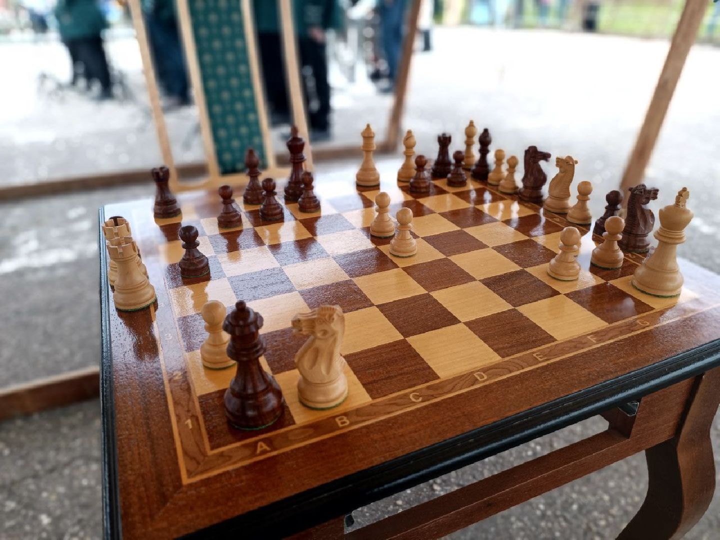 Можайск, Можайский городской округ, Подмосковье, Бородинский музей, живые шахматы, турнир, шахматы, гроссмейстер, реконструкторы, фигуры