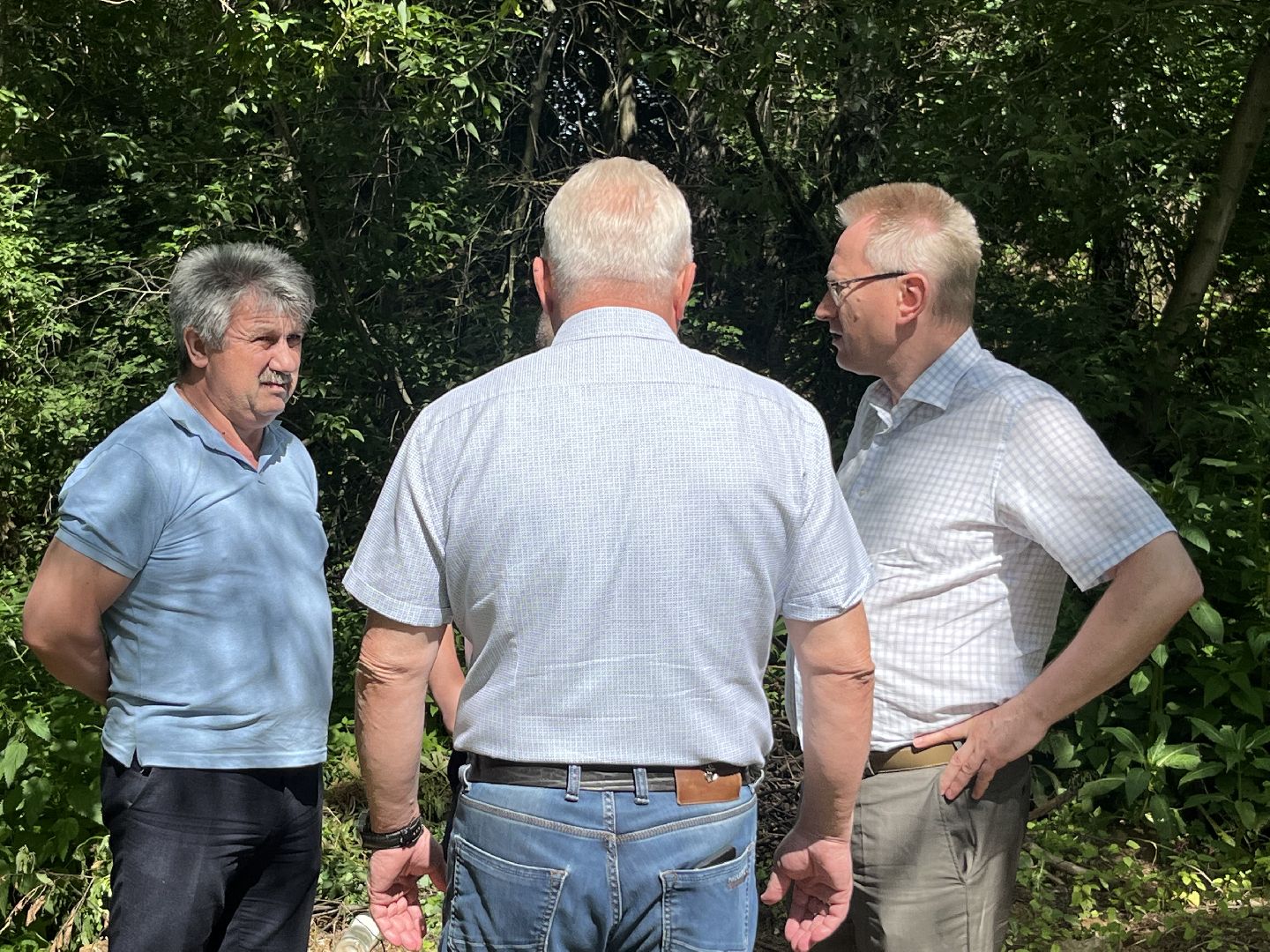 Наро-Фоминский городской округ, экология, экологический рейд, ручей, незаконные сливы