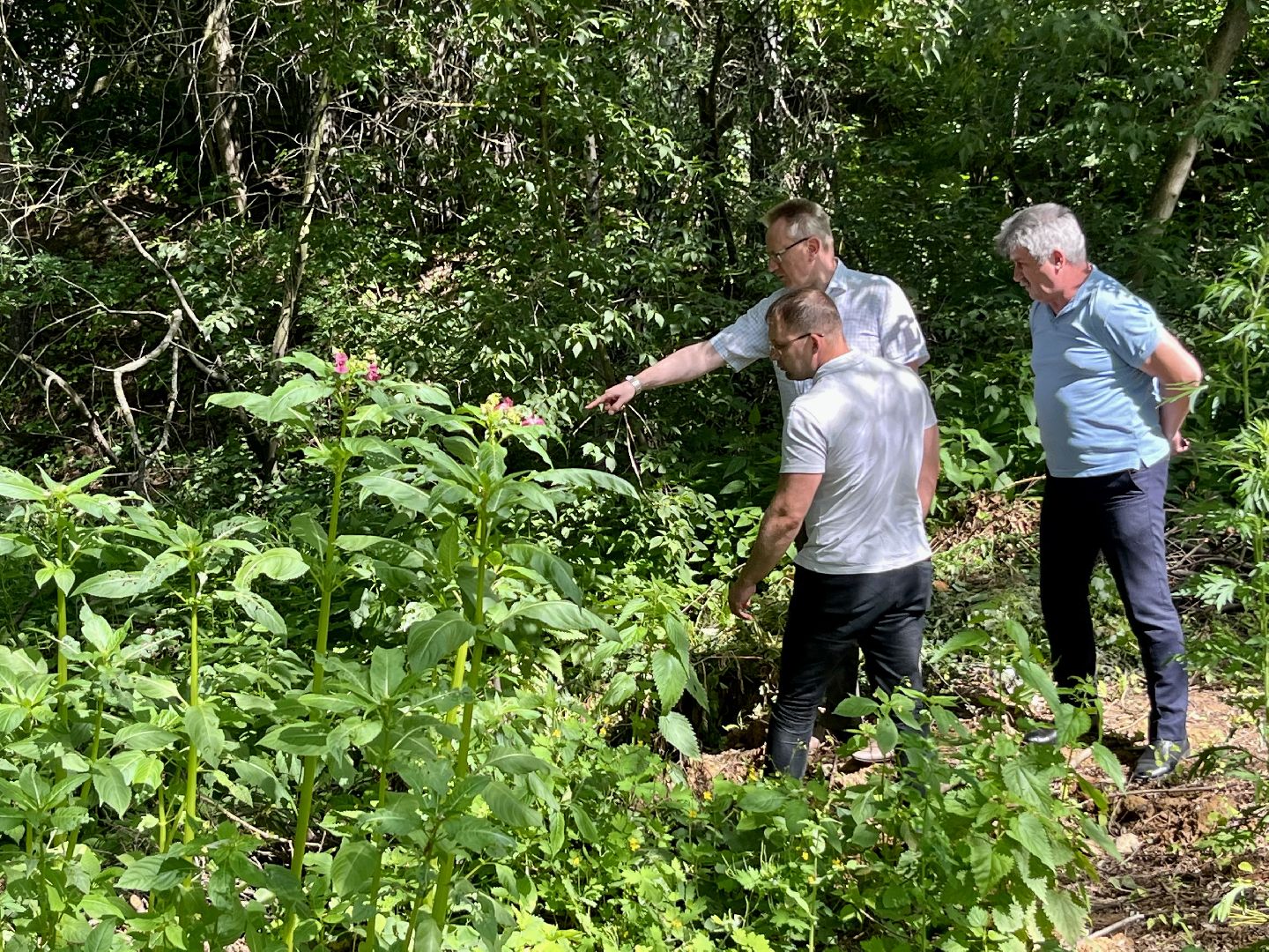 Наро-Фоминский городской округ, экология, экологический рейд, ручей, незаконные сливы
