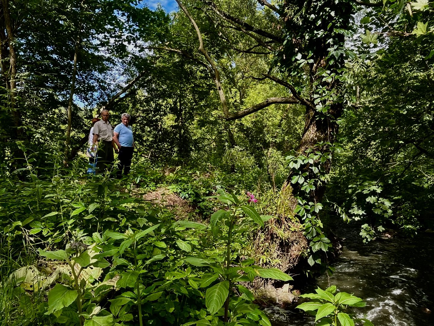 Наро-Фоминский городской округ, экология, экологический рейд, ручей, незаконные сливы