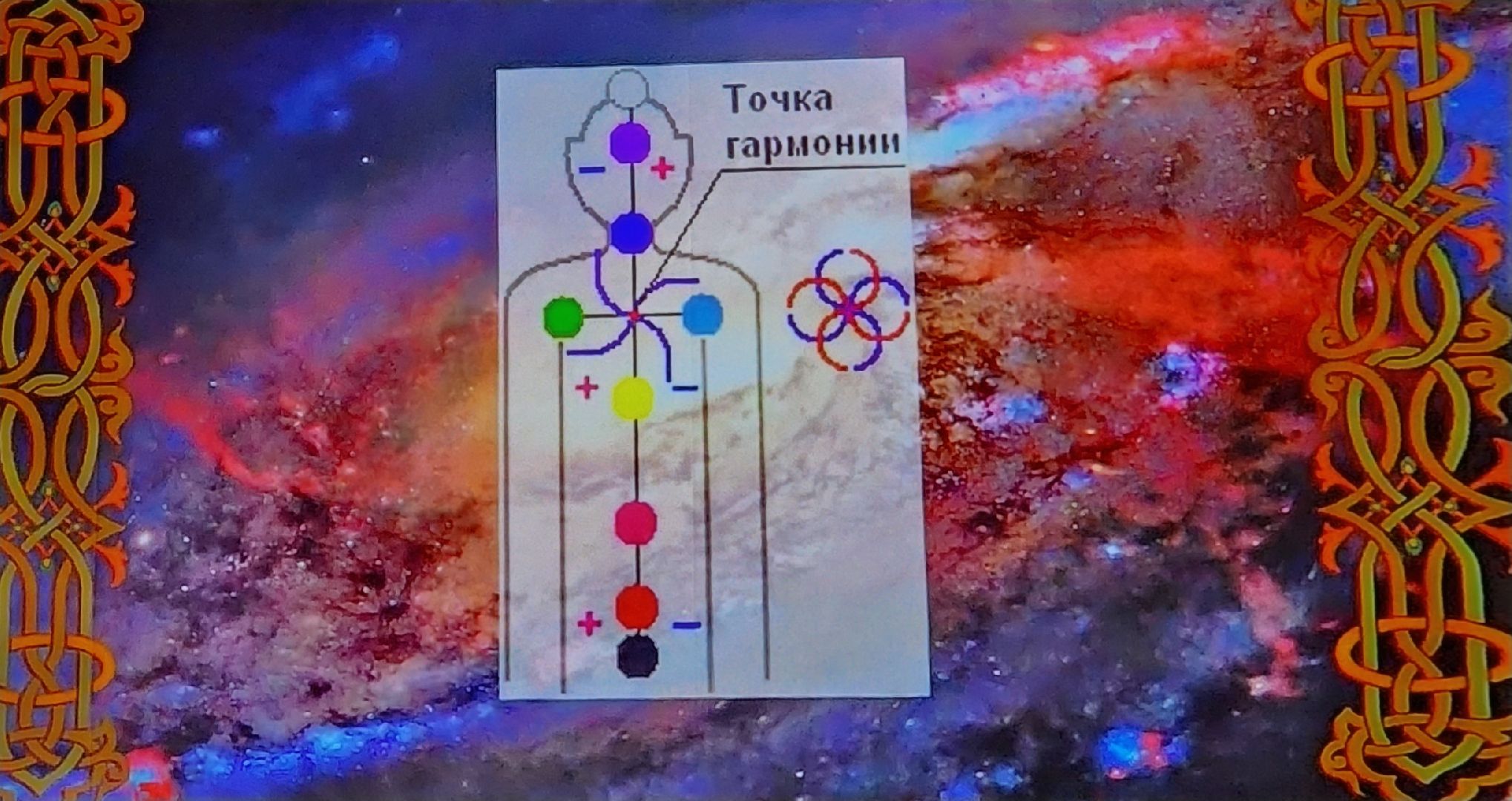 Долгопрудный, физтех, дети