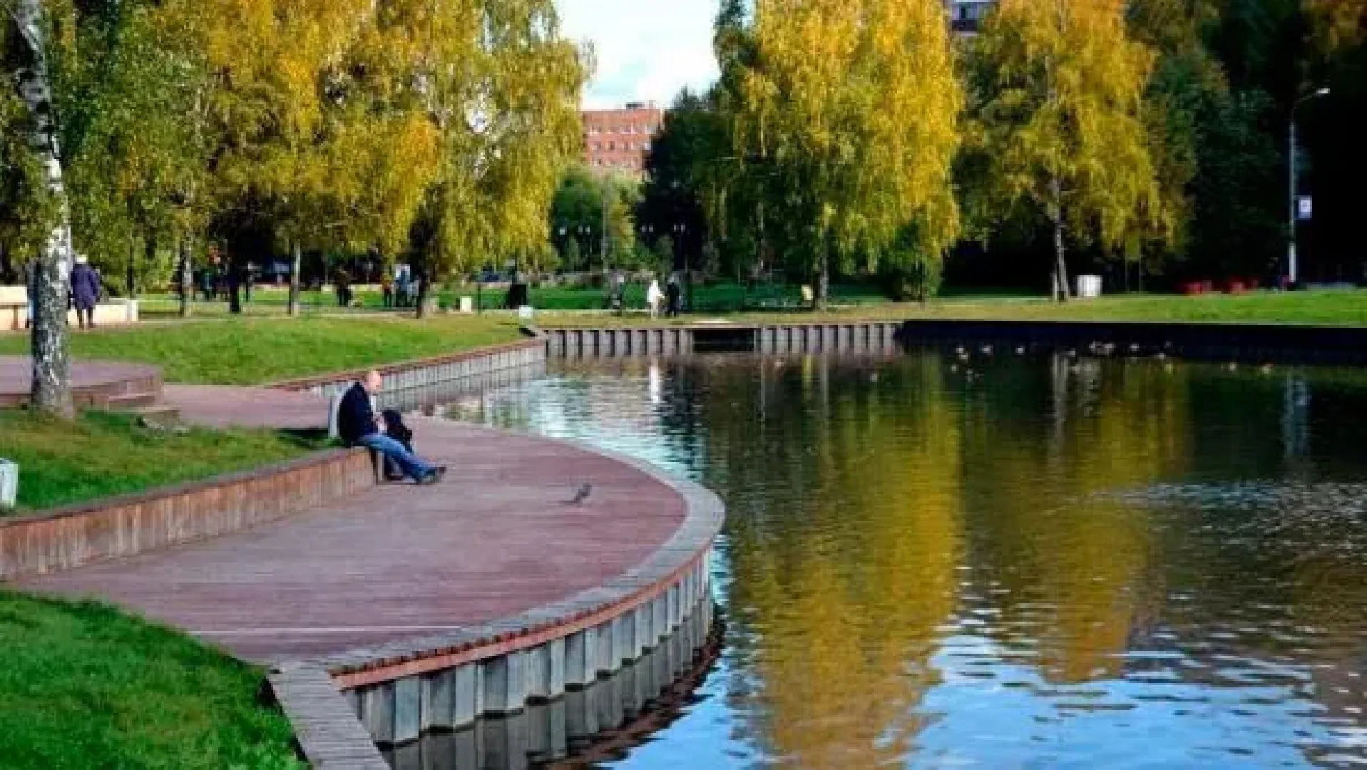 Долгопрудный, парки, реконструкция, Центральный парк, Андрей Воробьев