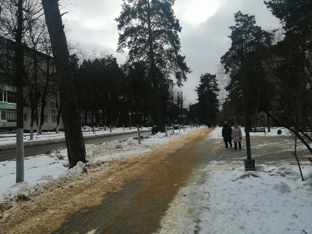 Протвино, Пущино, общество