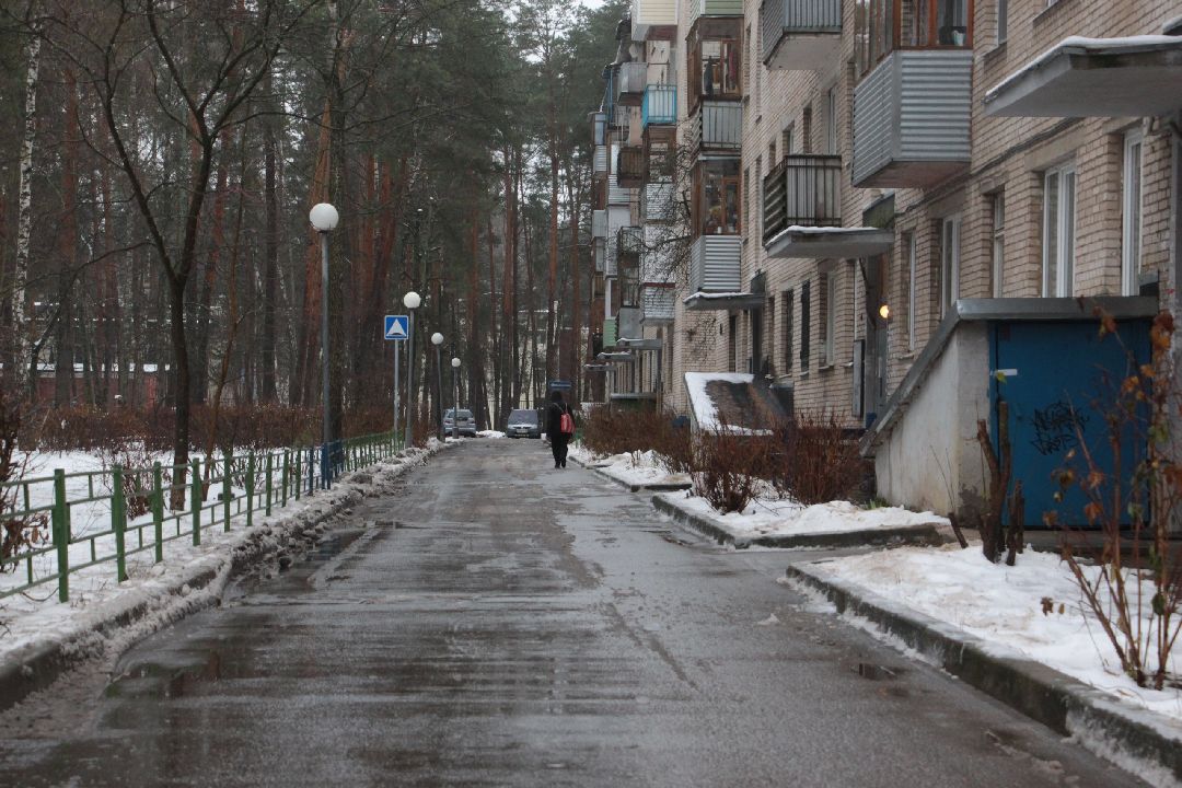 Протвино, Пущино, общество