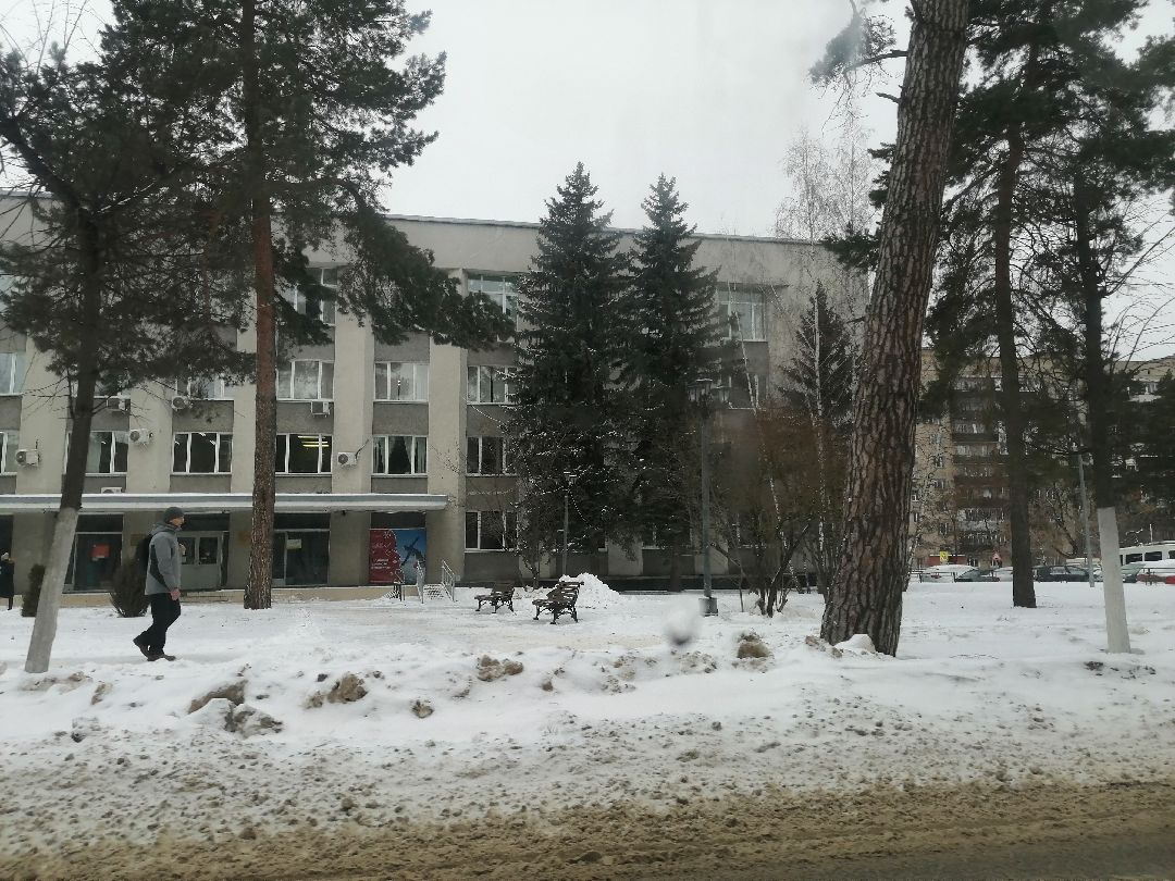 Протвино, Пущино, общество