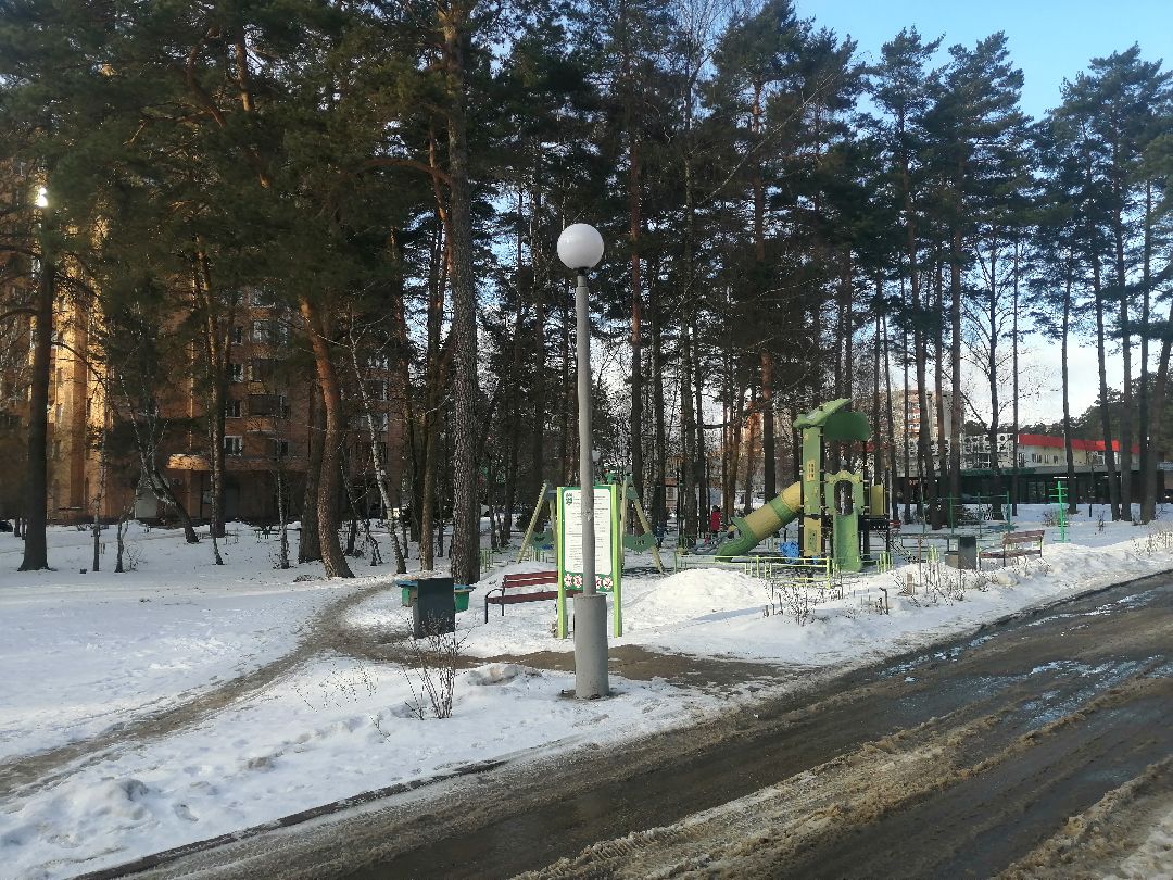 Протвино, Пущино, общество