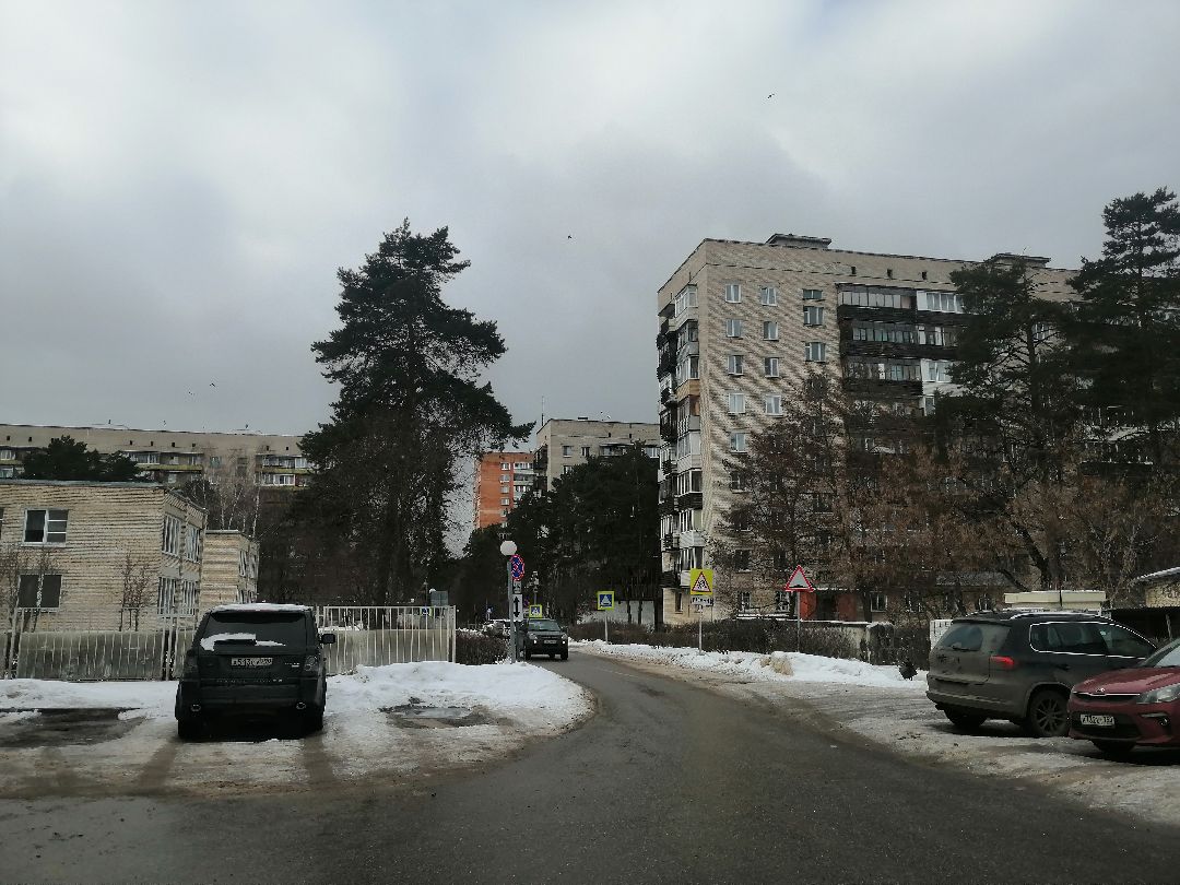 Протвино, Пущино, общество