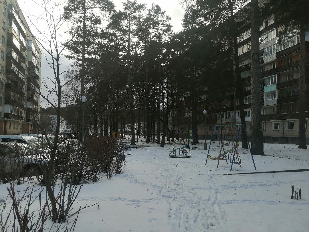 Протвино, Пущино, общество