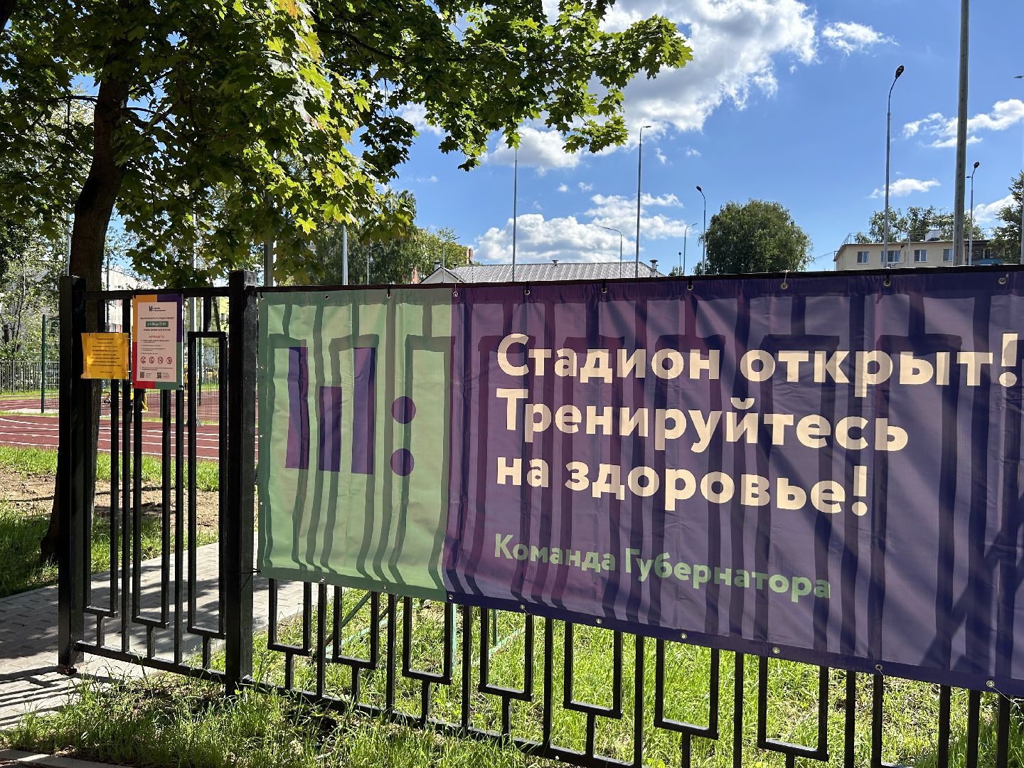 Стадион, программа губернатора, Щёлково