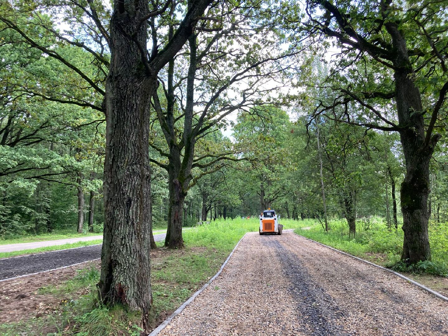 Парк Дубки, благоустройство парков, Олег Рожнов, Калининец