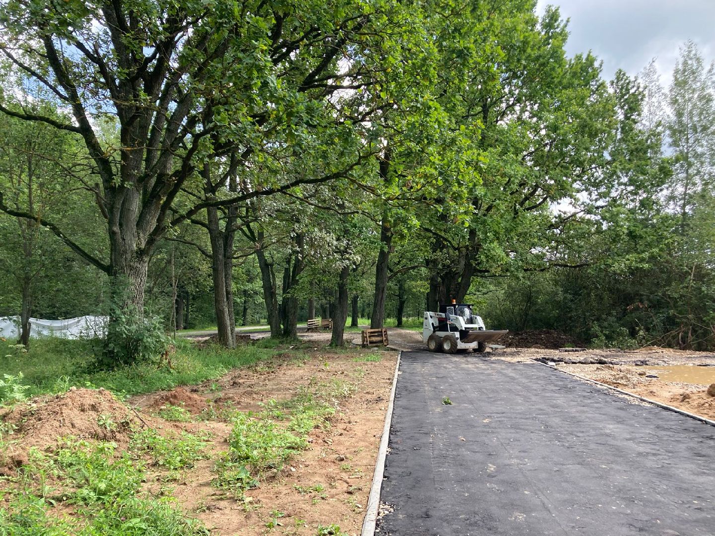 Парк Дубки, благоустройство парков, Олег Рожнов, Калининец