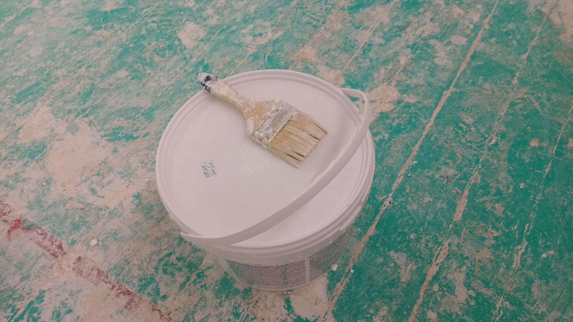 Реутов, образование, спортзал, ремонт, рабочие