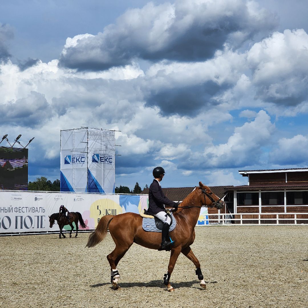 Фестиваль, конный фестиваль, отдых, Иваново поле, Богородский городской округ