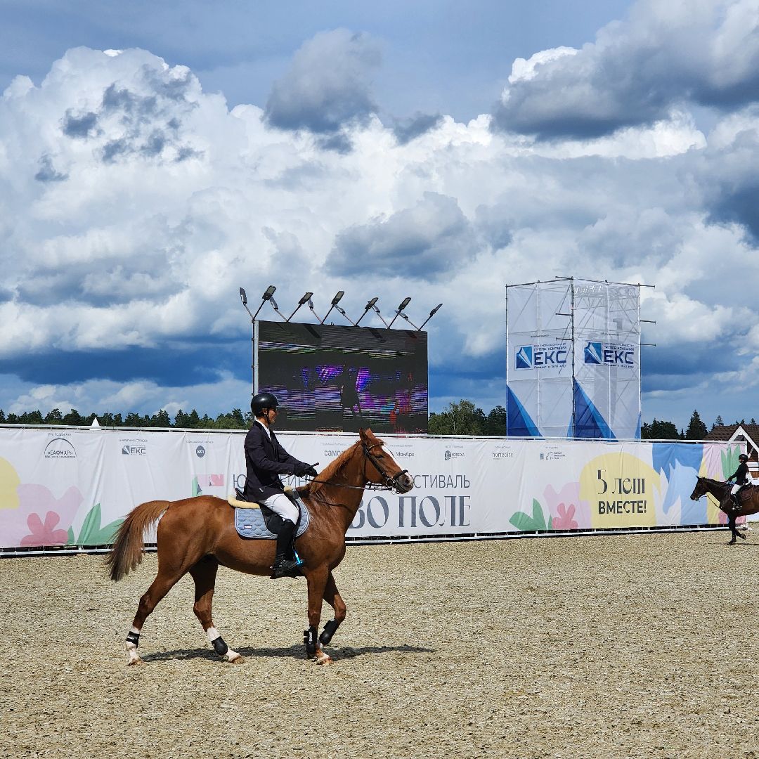 Фестиваль, конный фестиваль, отдых, Иваново поле, Богородский городской округ
