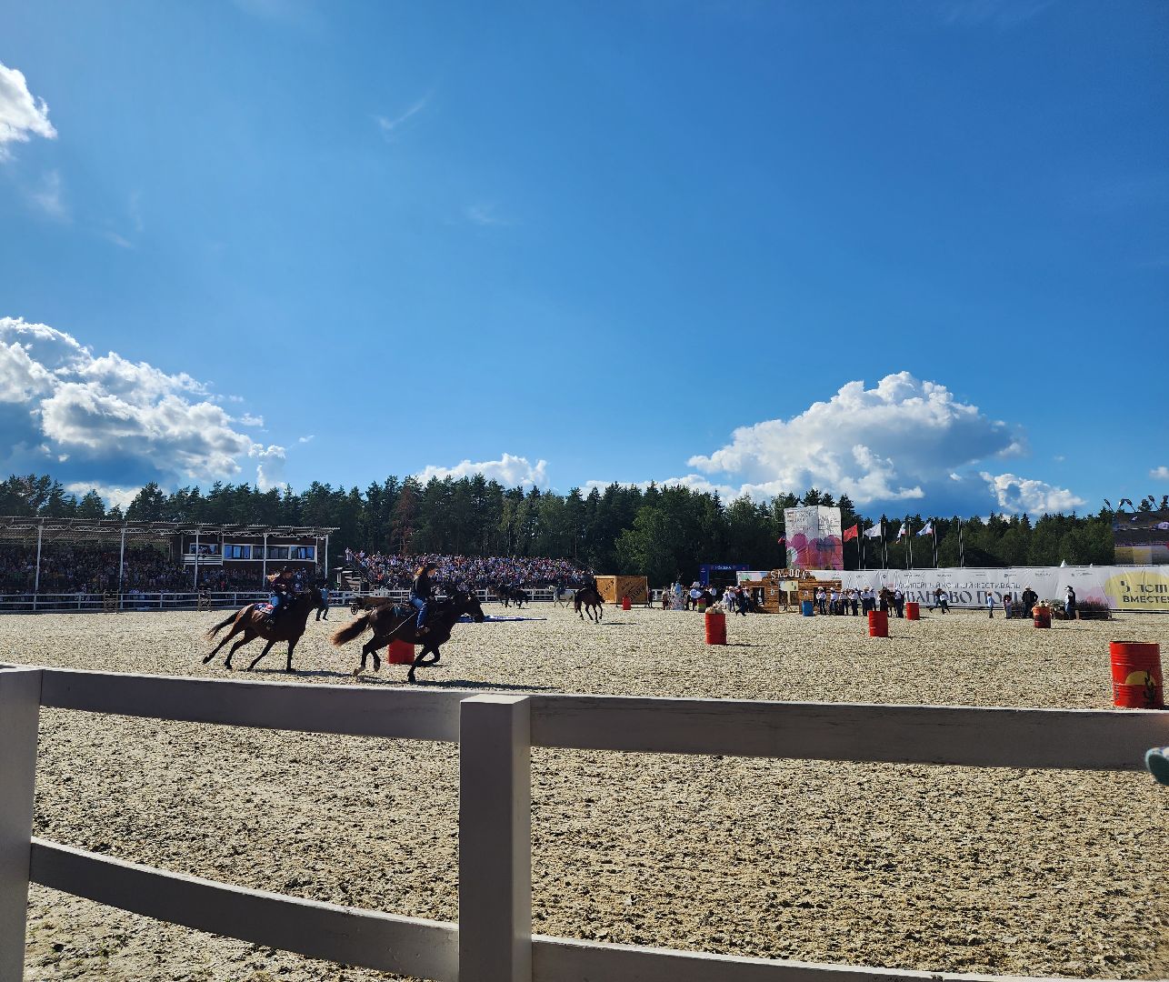Фестиваль, конный фестиваль, отдых, Иваново поле, Богородский городской округ
