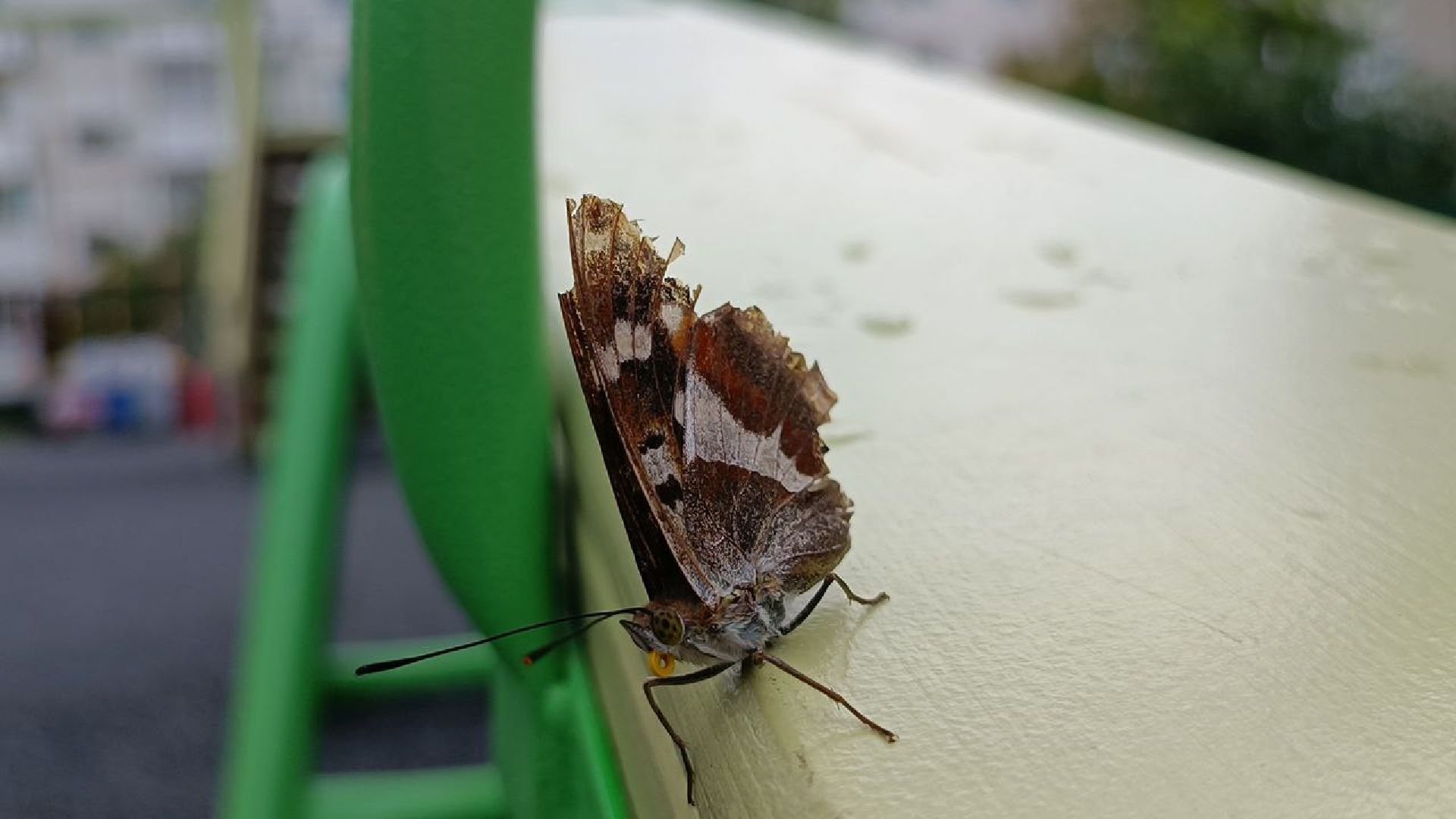 Можайск, Можайский городской округ, Подмосковье, детская площадка, модернизация, благоустройство, губернатор, дети