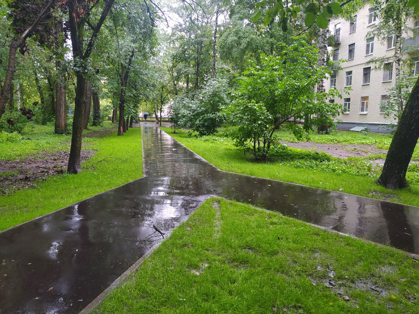 Красногорск, асфальтирование, тропинка