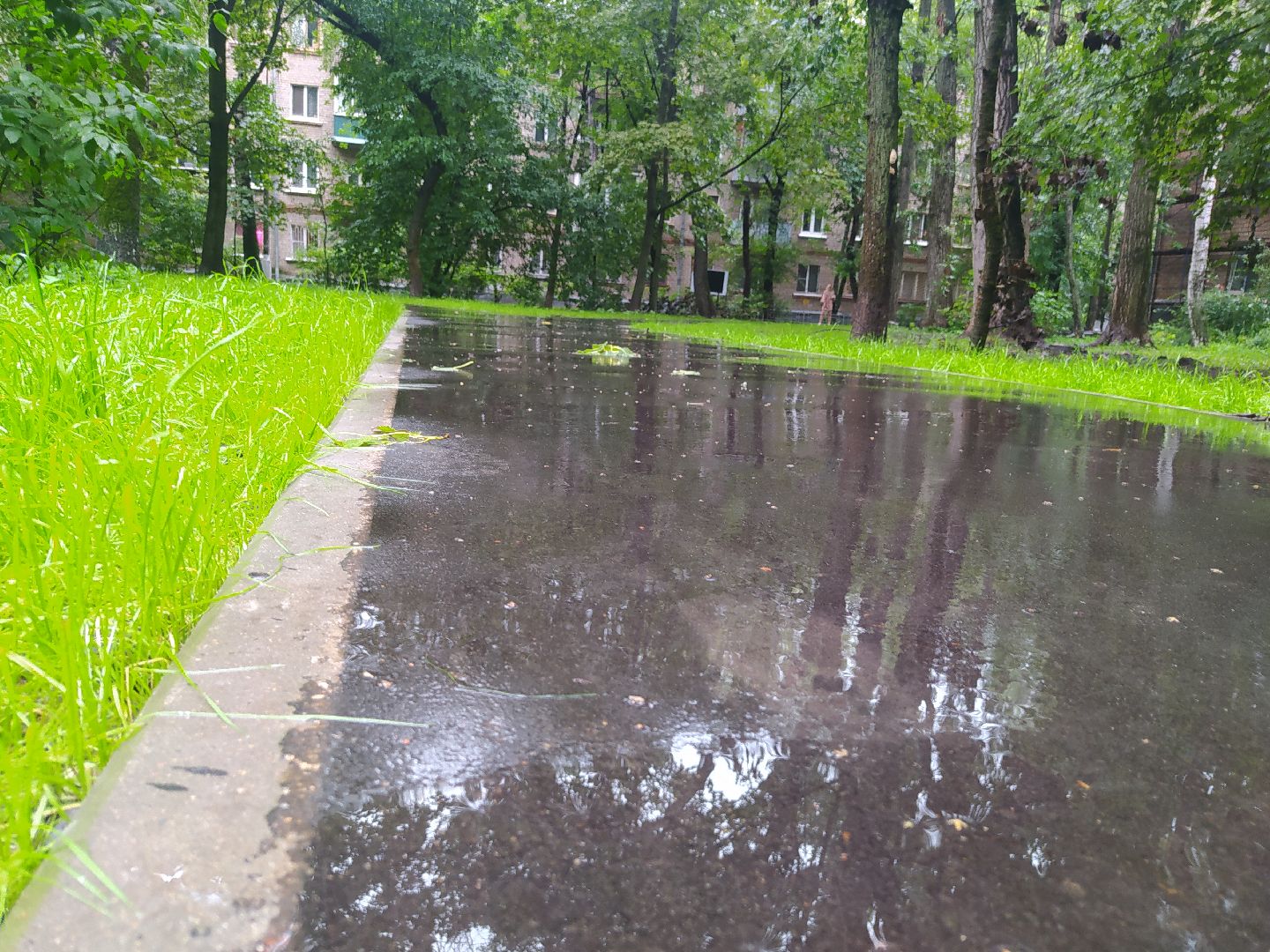 Красногорск, асфальтирование, тропинка