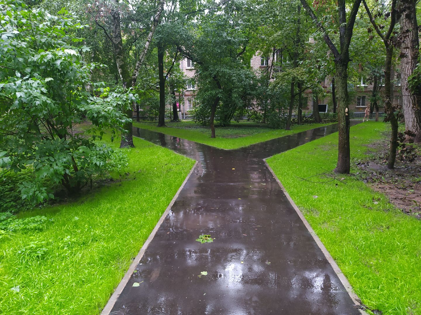 Красногорск, асфальтирование, тропинка