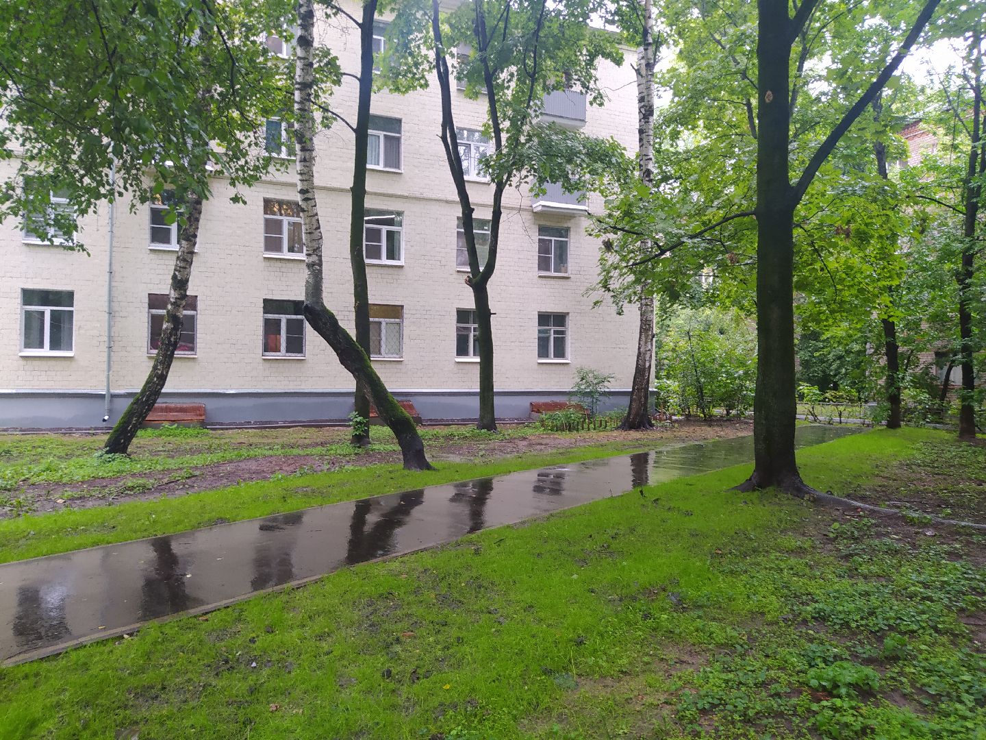 Красногорск, асфальтирование, тропинка