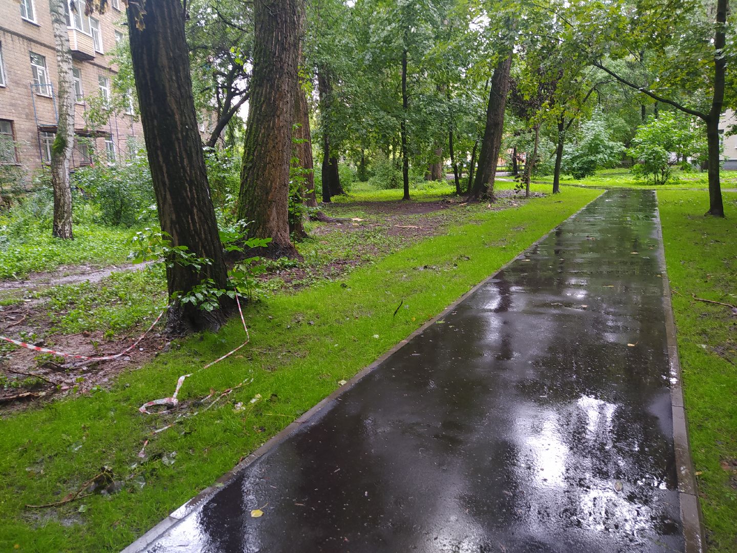 Красногорск, асфальтирование, тропинка