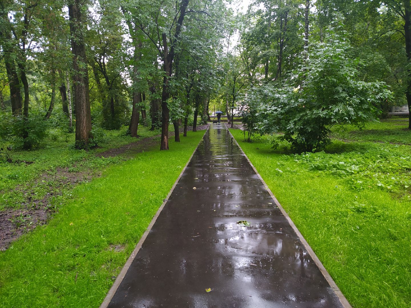 Красногорск, асфальтирование, тропинка