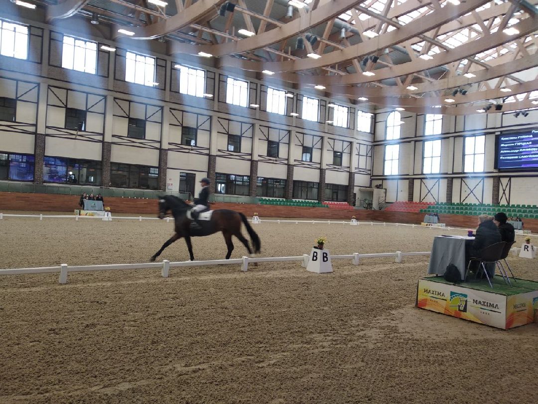 Дмитров, MAXIMA PARK, конный спорт