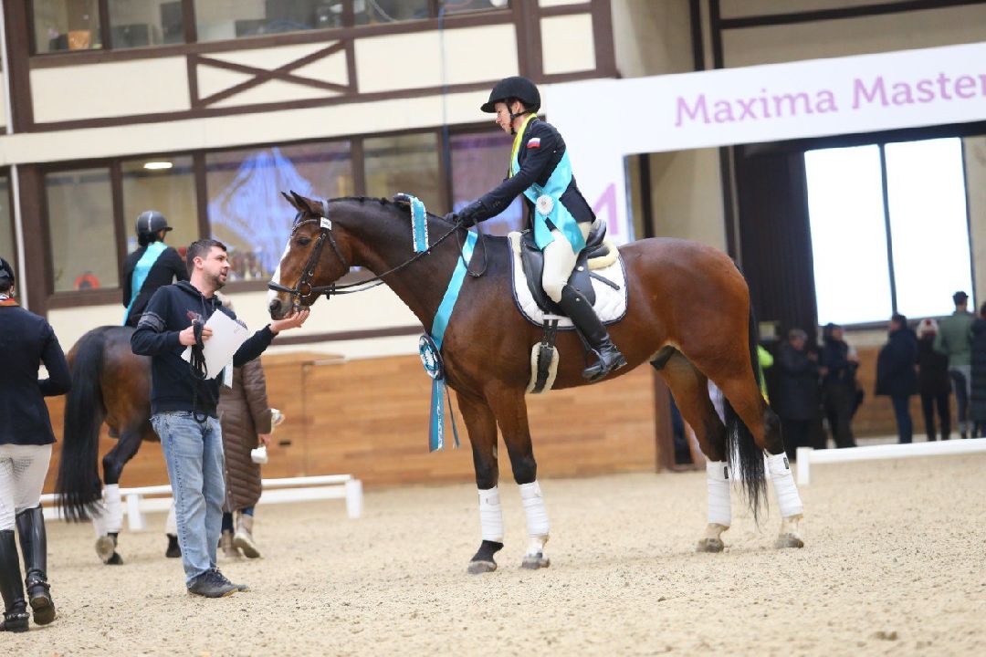 Дмитров, MAXIMA PARK, конный спорт